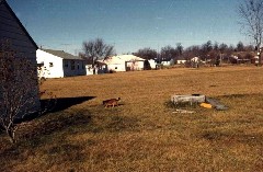 Home Lady dog Medway Ohio